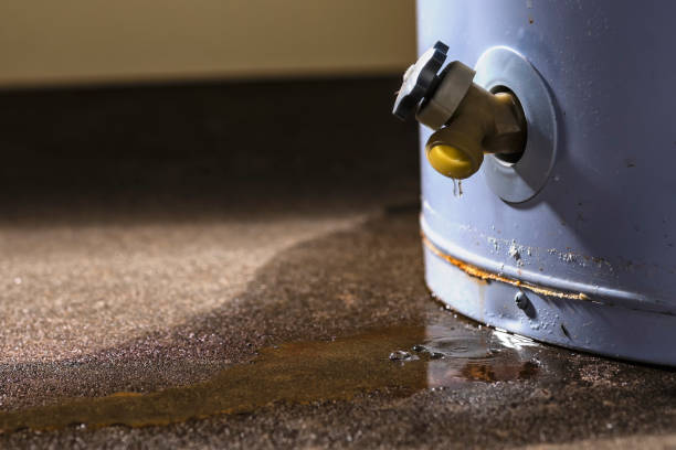 Best Flood restoration services  in Merian, ID