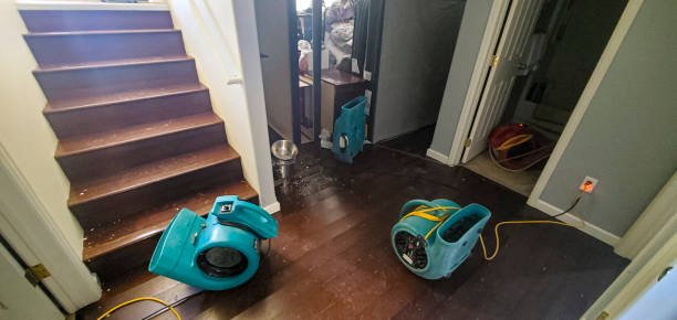 Best Water damage contractors near me  in Merian, ID
