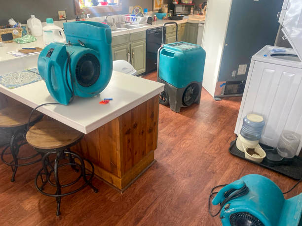 Best Mold removal after water damage  in Merian, ID