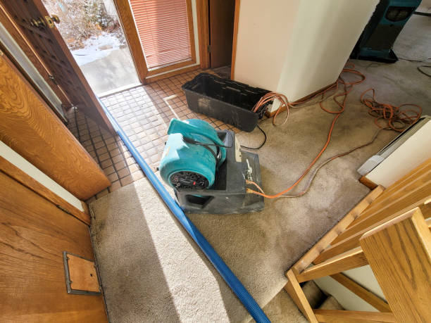 Best Commercial water damage restoration  in Merian, ID