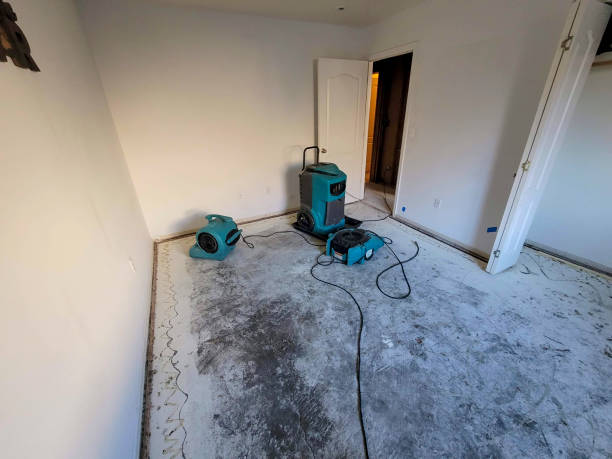 Best Sewage cleanup and water damage restoration  in Merian, ID