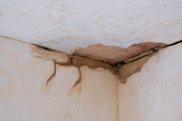 Best Commercial water damage restoration  in Merian, ID