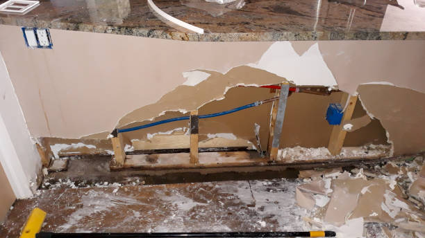 Best 24/7 water damage repair  in Merian, ID
