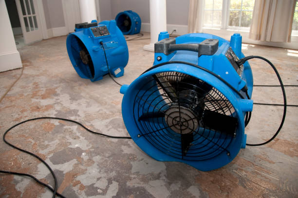 Best 24/7 water damage repair  in Merian, ID