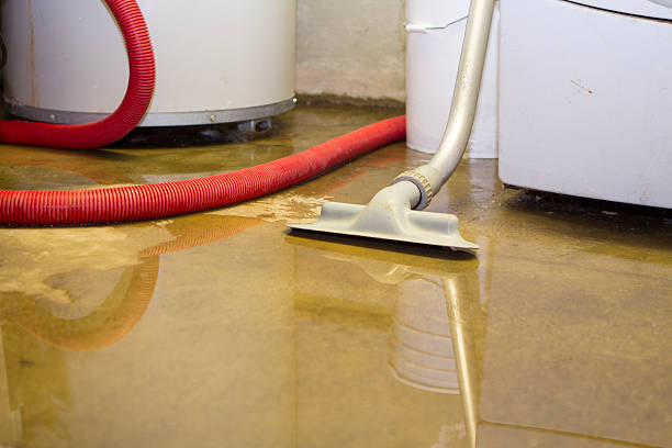 Best 24-hour water damage restoration  in Merian, ID