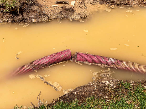 Best Local water damage restoration  in Merian, ID