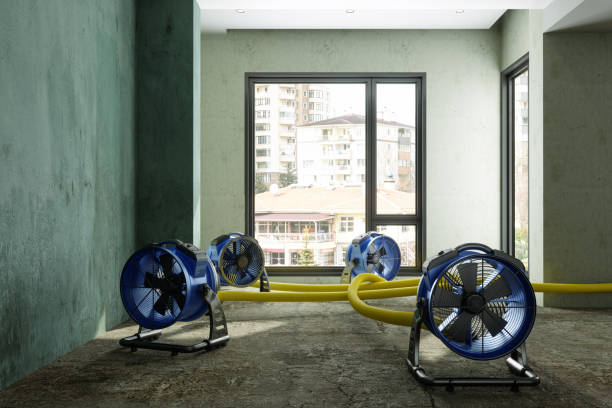 Best Professional water damage repair  in Merian, ID